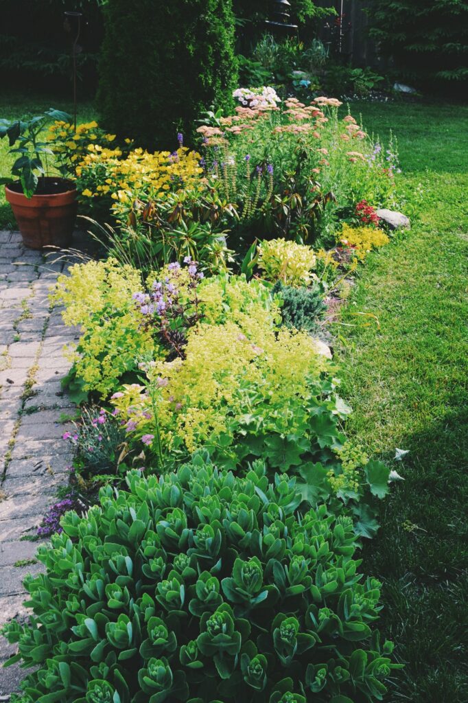 Backyard perennial flower garden